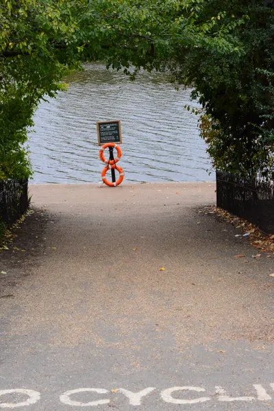 DSC_0689 (Large).JPG